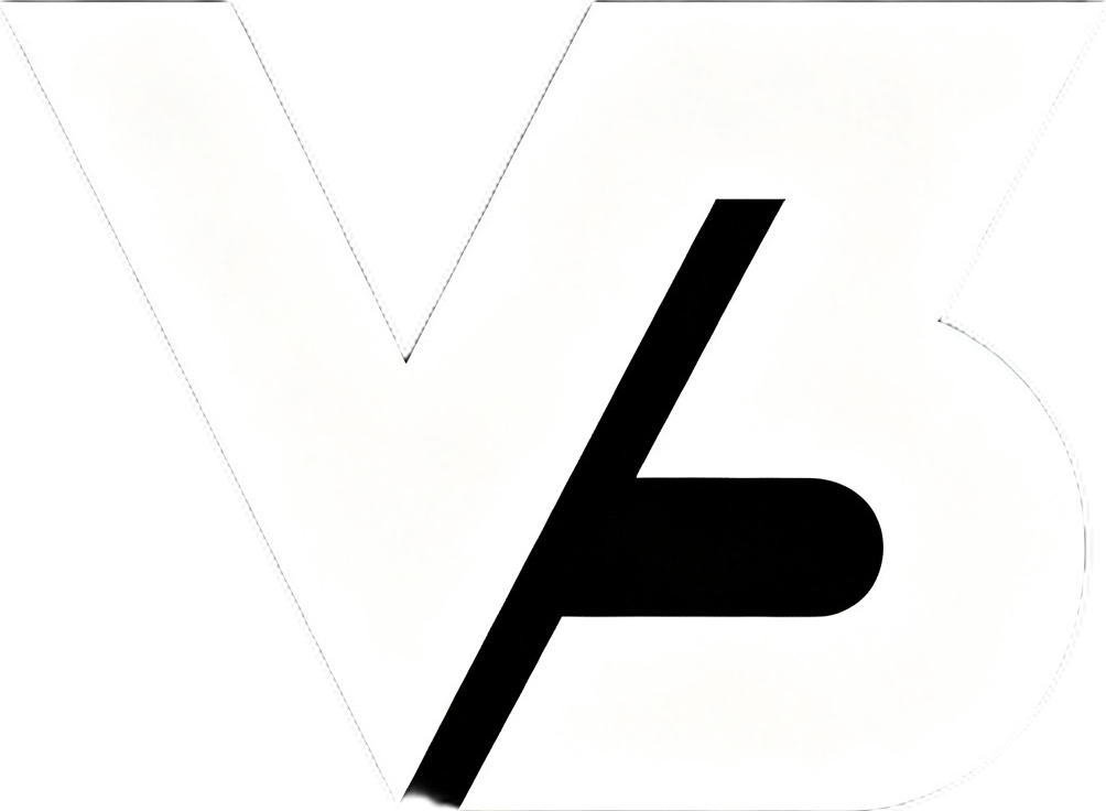 V3 Logo